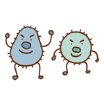 カビ菌　Mold bacterium